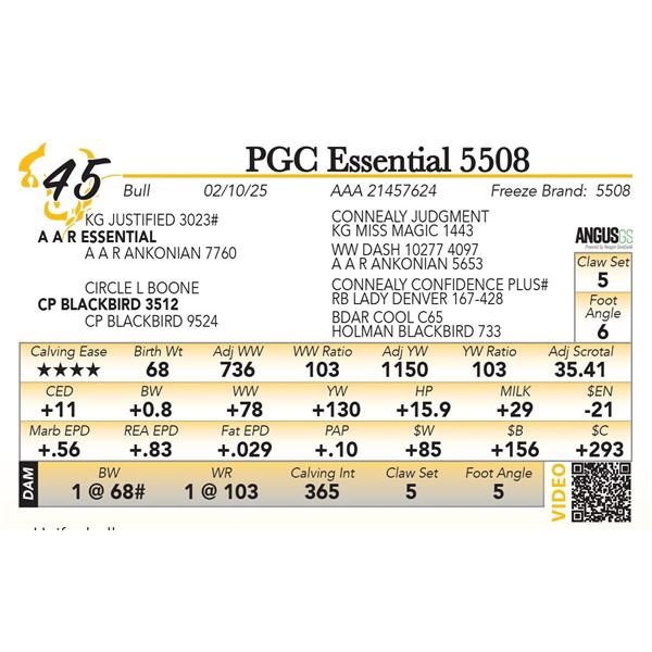 PGC Essential 5508