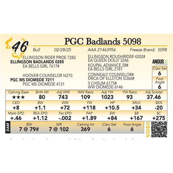 PGC Badlands 5098