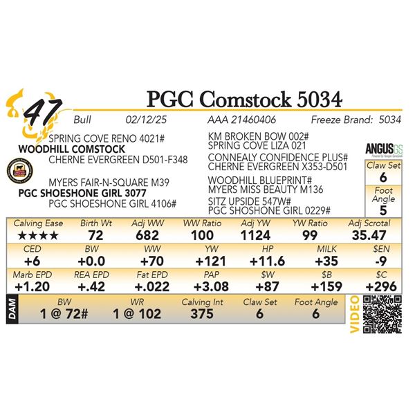 PGC Comstock 5034