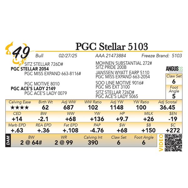 PGC Stellar 5103