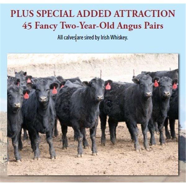 45 2 YR OLD PAIRS