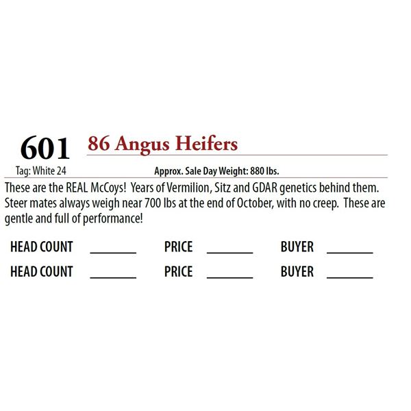 86 ANGUS HEIFERS; Tag: White 24