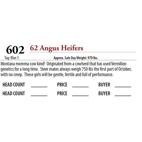 62 ANGUS HEIFERS; Tag: Blue 5