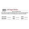 Image 1 : 68 ANGUS HEIFERS; Tag: Orange 2