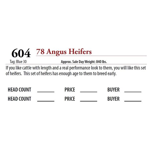 78 ANGUS HEIFERS; Tag: Blue 30