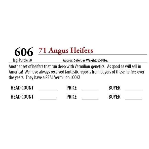 71 ANGUS HEIFERS; Tag: Purple 58