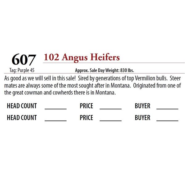 102 ANGUS HEIFERS; Tag: Purple 45