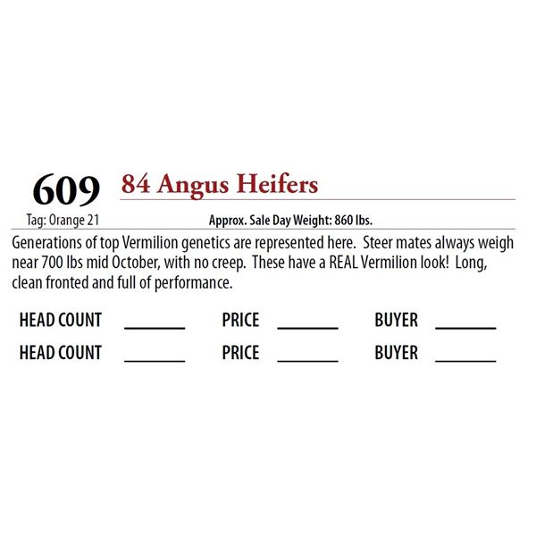 83 ANGUS HEIFERS; Tag: Orange 21