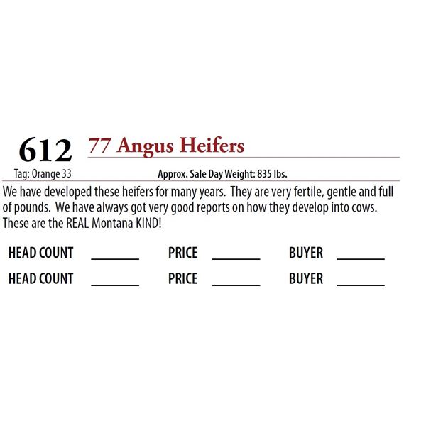 72 ANGUS HEIFERS; Tag: Orange 33