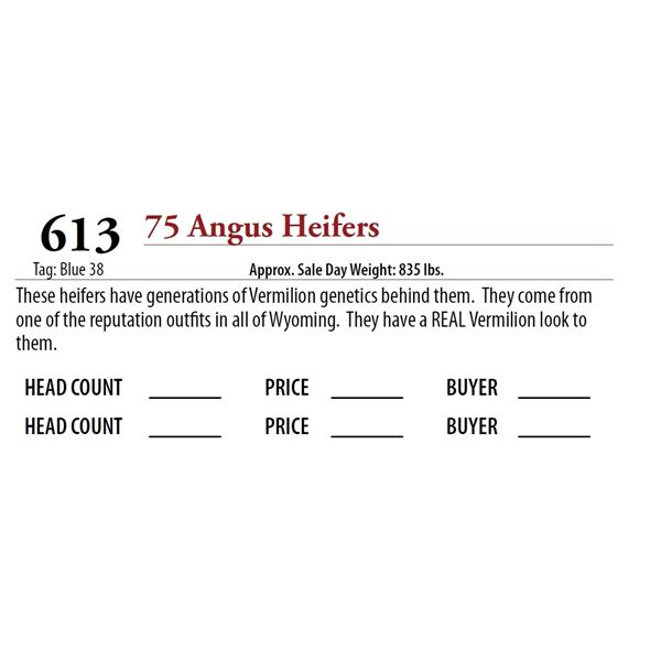 75 ANGUS HEIFERS; Tag: Blue 38