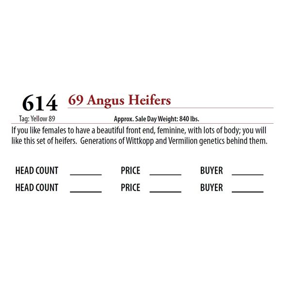 69 ANGUS HEIFERS; Tag: Blue 38