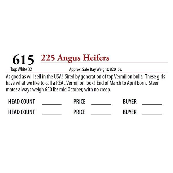 225 ANGUS HEIFERS; Tag: White 32