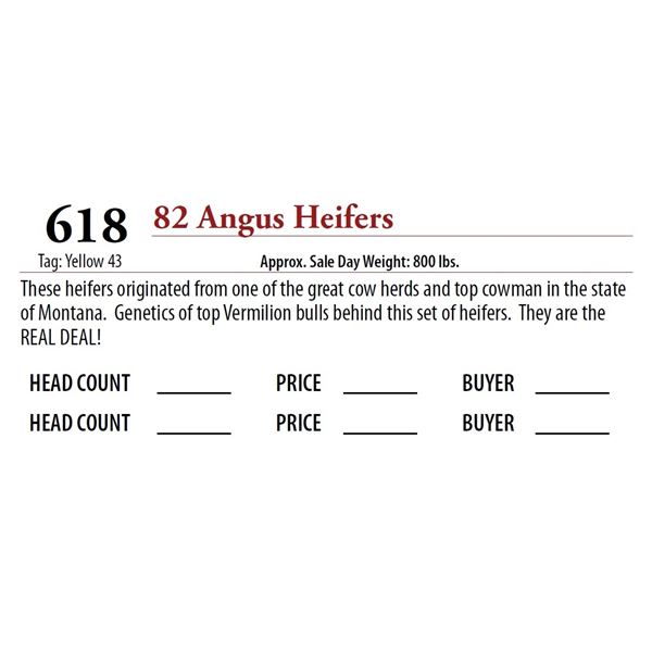 80 ANGUS HEIFERS; Tag: Yellow 43