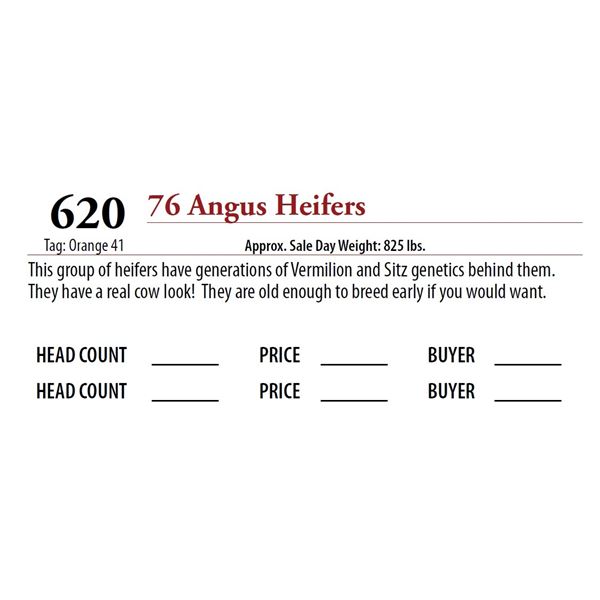 76 ANGUS HEIFERS; Tag: Orange 41