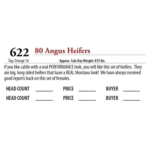 81 ANGUS HEIFERS; Tag: Orange 16