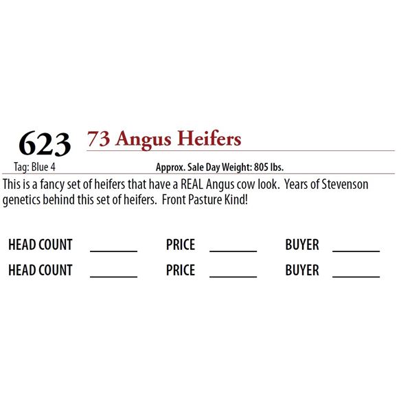 72 ANGUS HEIFERS; Tag: Blue 4