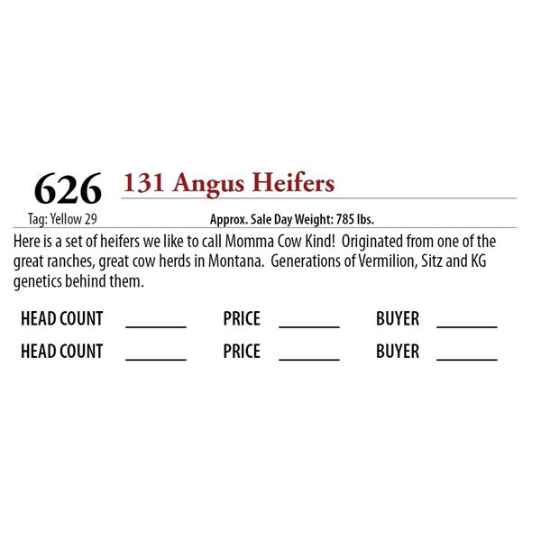 134 ANGUS HEIFERS; Tag: Yellow 29