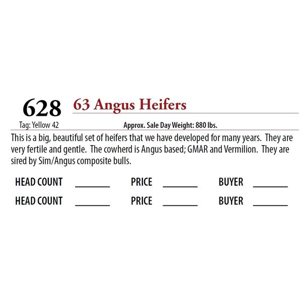 63 ANGUS HEIFERS; Tag: Yellow 42