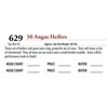 Image 1 : 49 ANGUS HEIFERS; Tag: Blue 40