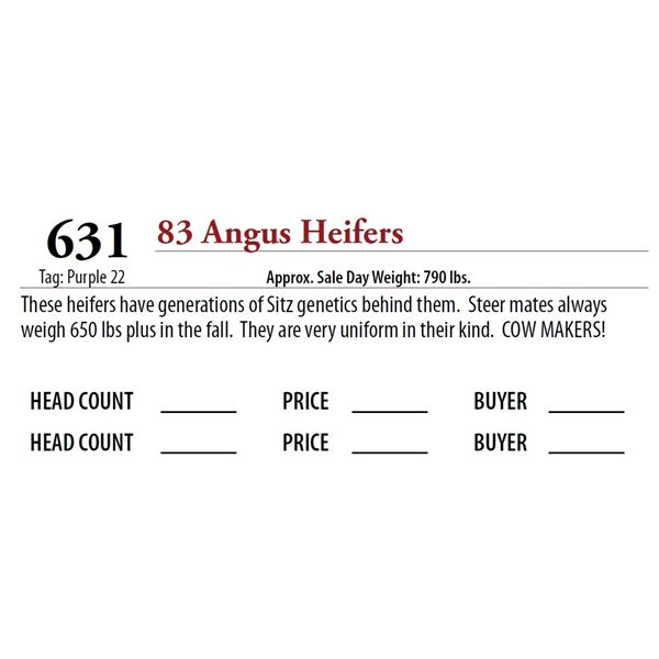 83 ANGUS HEIFERS; Tag: Purple 22