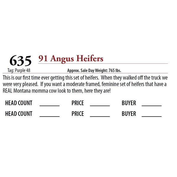 91 ANGUS HEIFERS; Tag: Purple 48