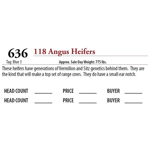118 ANGUS HEIFERS; Tag: Blue 3
