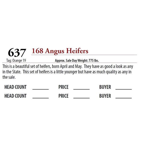 168 ANGUS HEIFERS; Tag: Orange 19