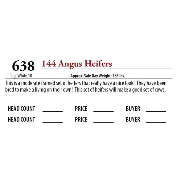 144 ANGUS HEIFERS; Tag: White 10