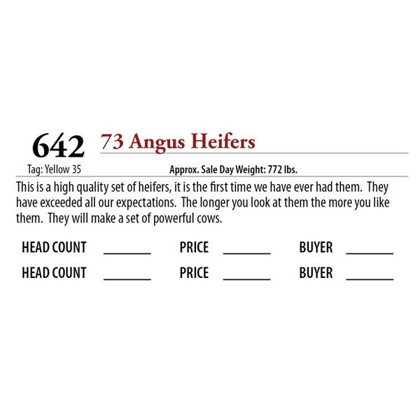 73 ANGUS HEIFERS; Tag: Yellow 35