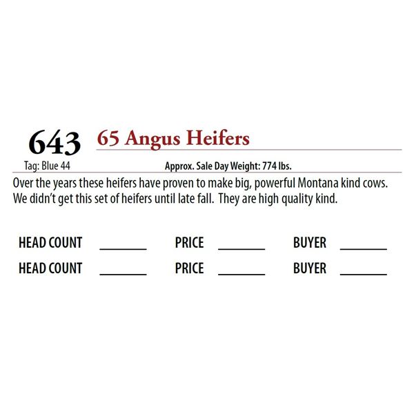 65 ANGUS HEIFERS; Tag: Blue 44