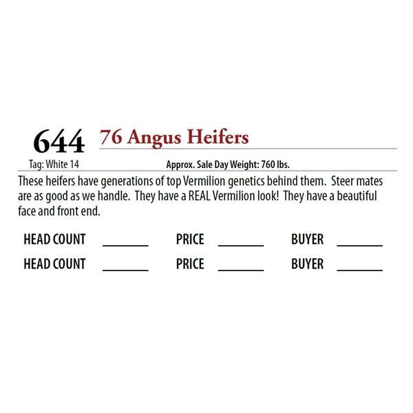 75 ANGUS HEIFERS; Tag: White 14