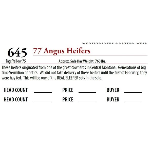 74 ANGUS HEIFERS; Tag: Yellow 75