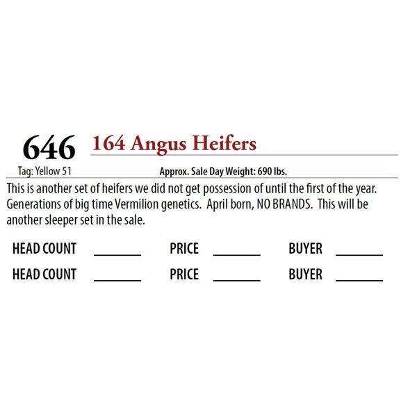 156 ANGUS HEIFERS; Tag: Yellow 51