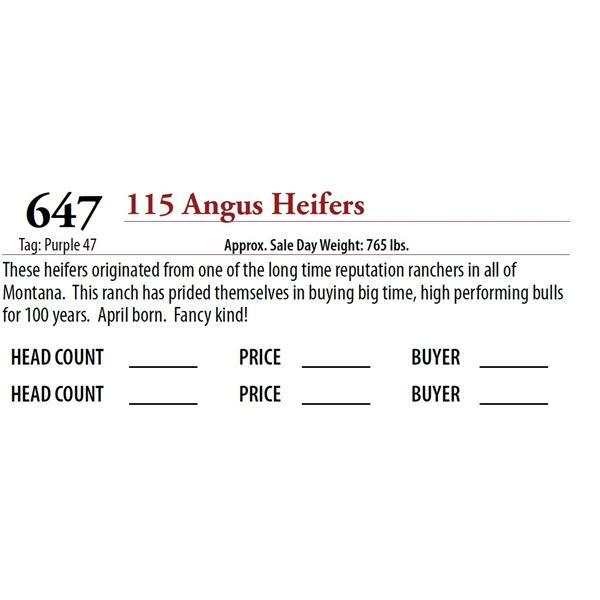 115 ANGUS HEIFERS; Tag: Purple 47