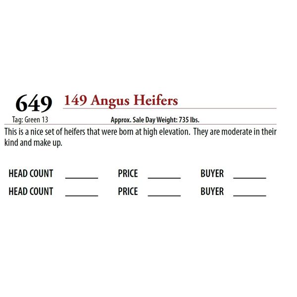 149 ANGUS HEIFERS; Tag: Green 13