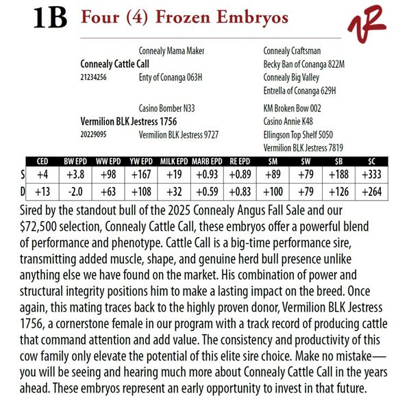 Four (4) Frozen Embryos