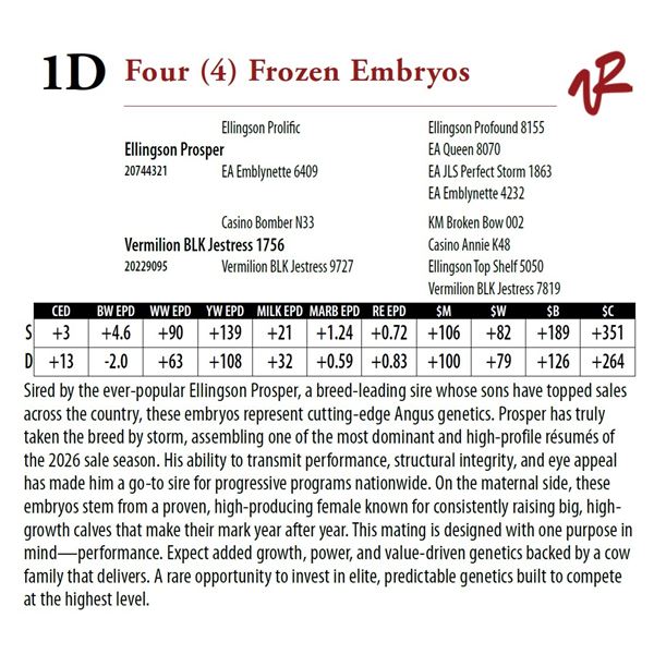 Four (4) Frozen Embryos