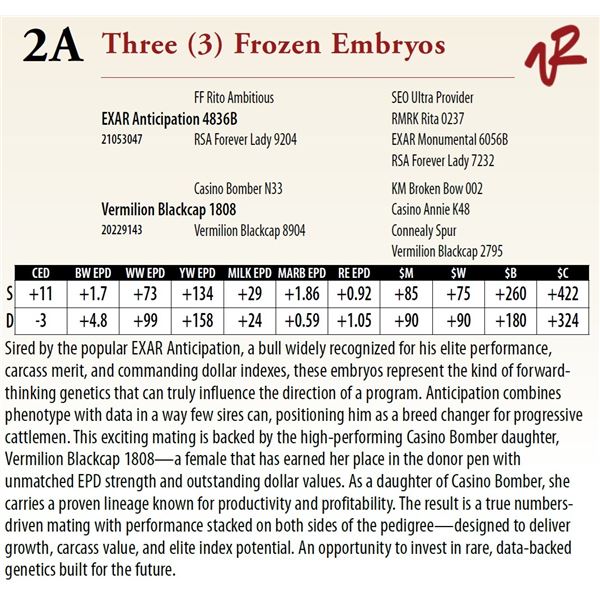 Three (3) Frozen Embryos