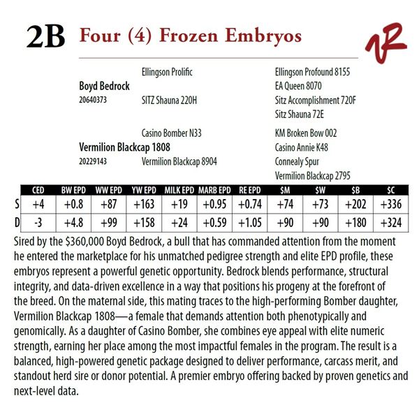 Four (4) Frozen Embryos