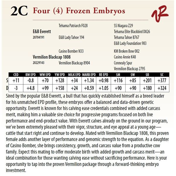 Four (4) Frozen Embryos