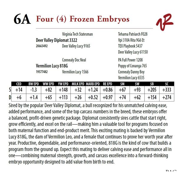 Four (4) Frozen Embryos