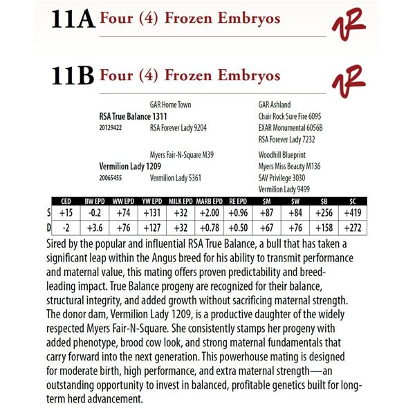 Four (4) Frozen Embryos