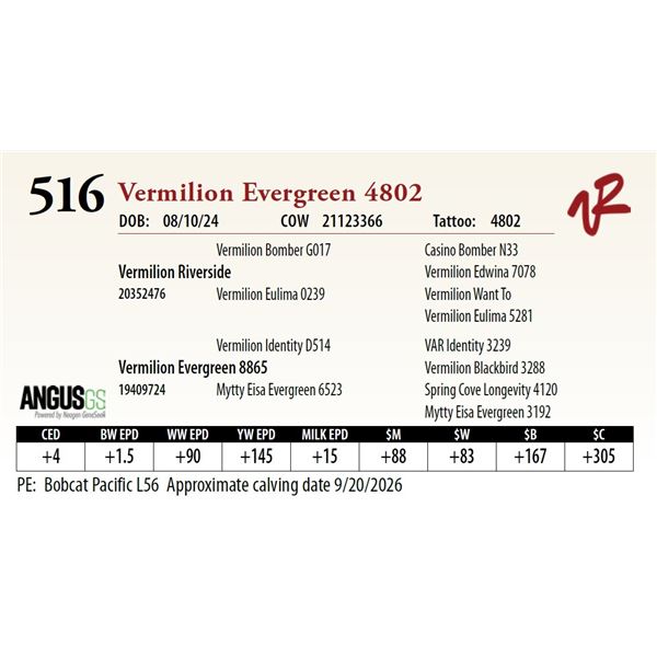 Vermilion Evergreen 4802