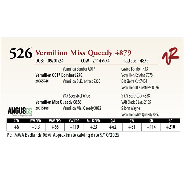 Vermilion Miss Queedy 4879