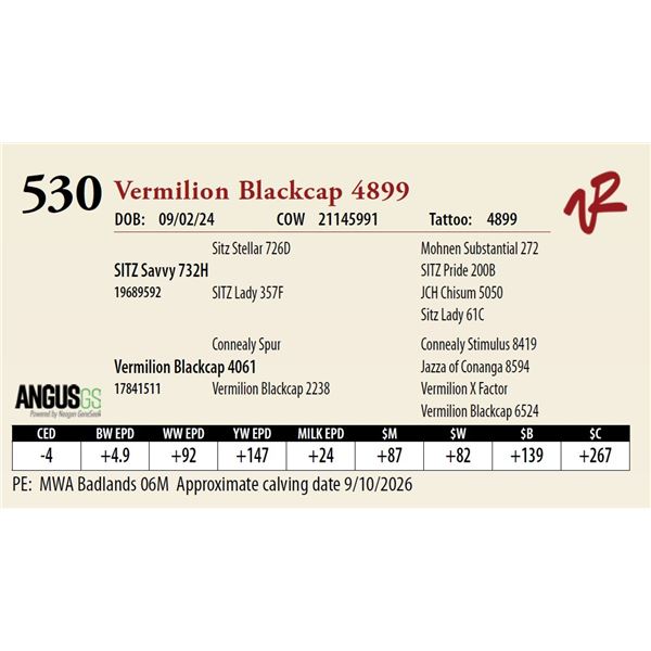 Vermilion Blackcap 4899