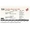 Image 1 : Vermilion Black Lady 4866