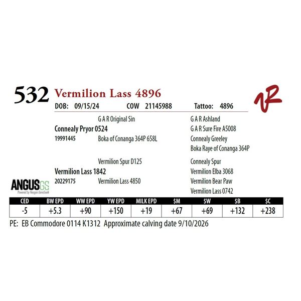 Vermilion Lass 4896