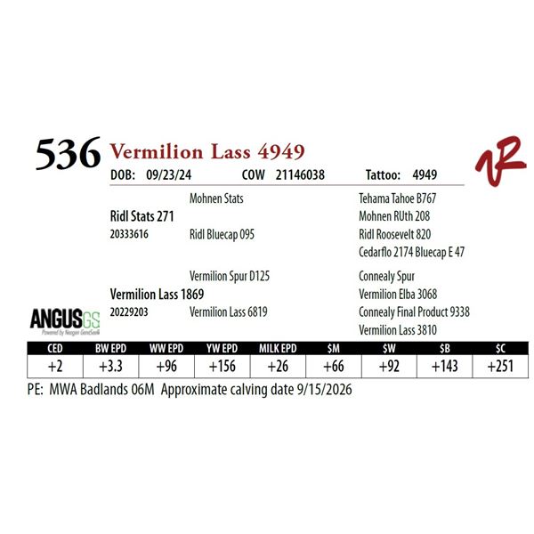 Vermilion Lass 4949