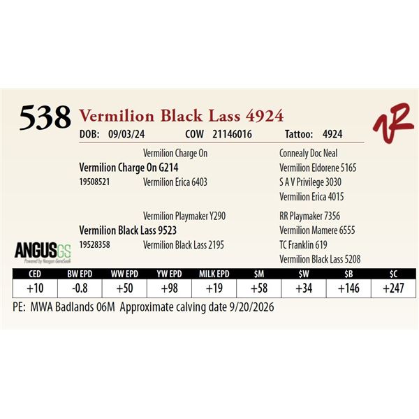 Vermilion Black Lass 4924