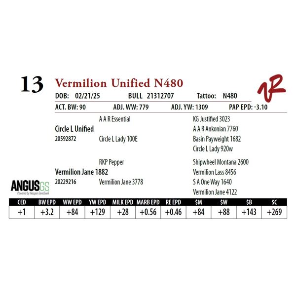Vermilion Unified N480